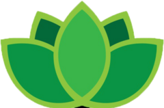 بالسی