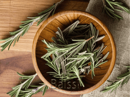 عکس گیاه مرزه | بالسی