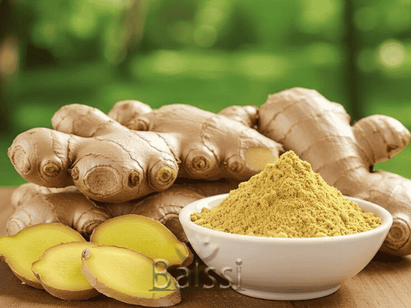 زنجبیل تازه و پودر زنجبیل | بالسی