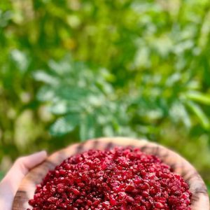 زرشک | بالسی