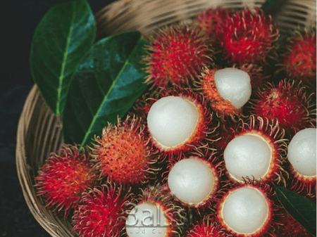 عکس رامبوتان (Rambutan) | بالسی