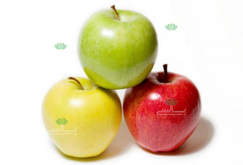 عکس سیب زرد،سرخ و سبز