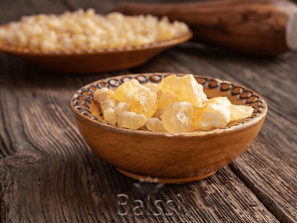 عکس کندر
| بالسی