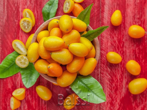 عکس میوه کامکوات | بالسی