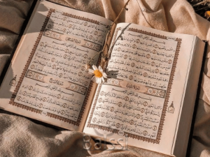 قرآن در بارداری | بالسی
