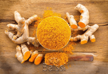 پودر و قلم زردچوبه تازه | بالسی