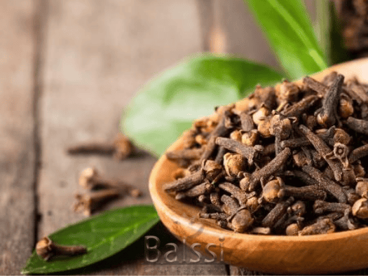 میخک | بالسی