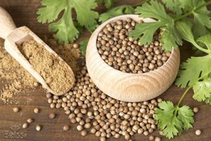 ظرف حاوی دان تخم گشنیز