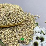دان تخم گشنیز
