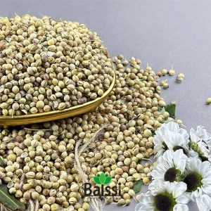خرید عمده دان تخم گشنیز (هر کیلوگرم)