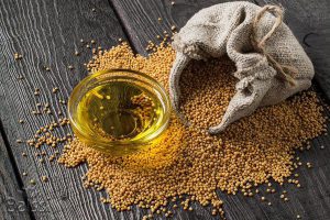 ظرف حاوی دان خردل