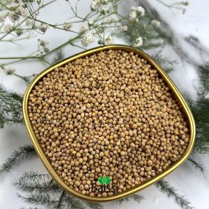 خرید عمده دان خردل (هر کیلوگرم)