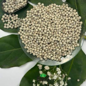 خرید عمده دان فلفل سفید (هر کیلوگرم)