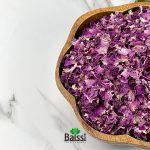پر گل محمدی
