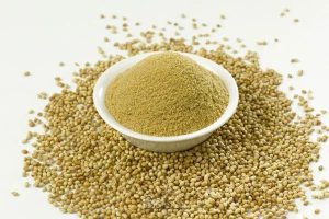 پودر و دان تخم گشنیز