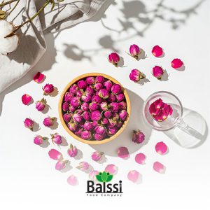 غنچههای گل محمدی | بالسی