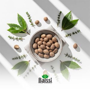 قلم جوز هندی | بالسی