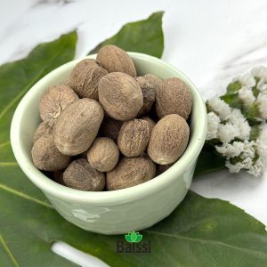 خرید عمده قلم جوز هندی (هر کیلوگرم)