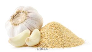 سیر و پودر سیر