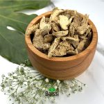 ریشه جوز هندی