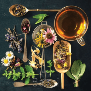 دمنوش‌ گیاهی و گیاهان دارویی | بالسی