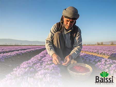 کشاورز ایرانی در زمین کشاورزی | بالسی