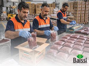 صادرات سماق بالسی